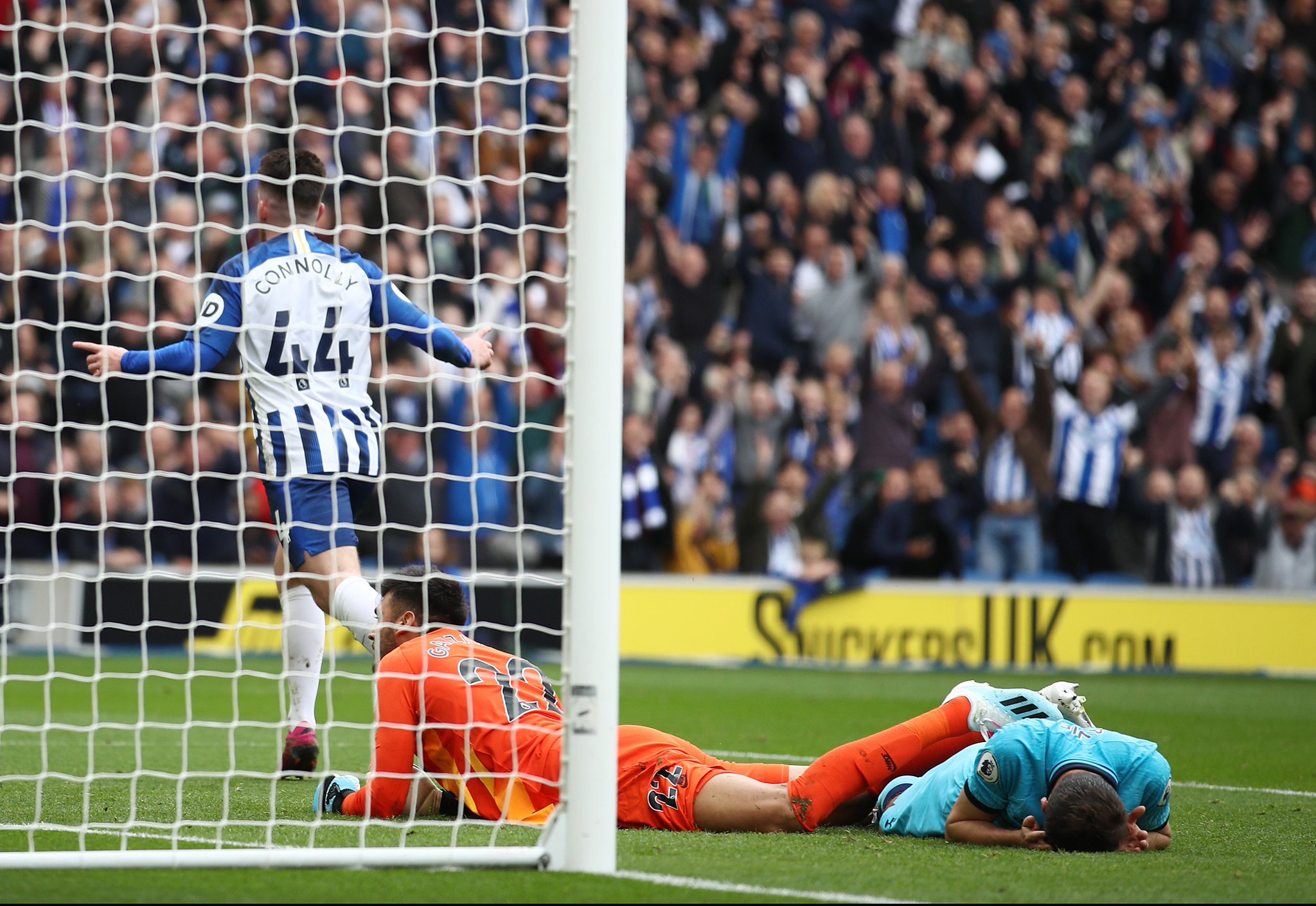 家庭观赛体 家庭观赛体